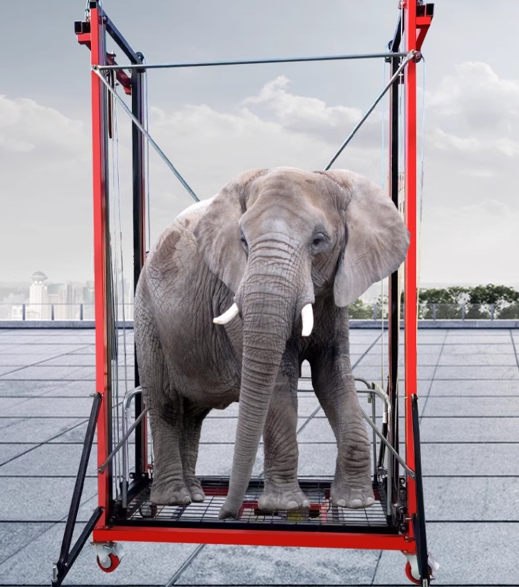 ?Liquidación del último día?Múltiples modelos de plataformas elevadoras de andamios eléctricos plegables (?¡capacidad de carga de hasta 500 kg!)