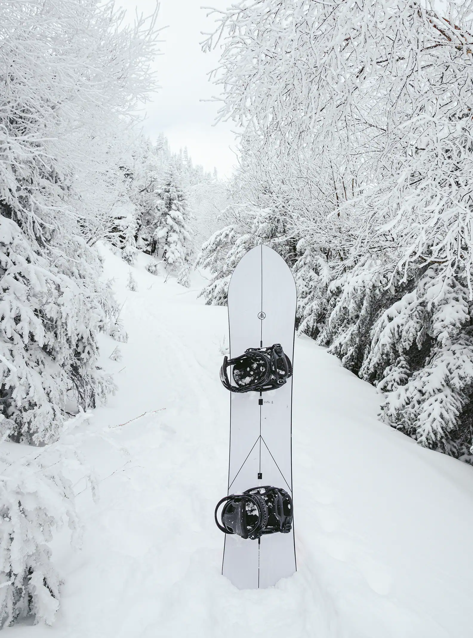 Burton Family Tree Show Stopper Camber Snowboard